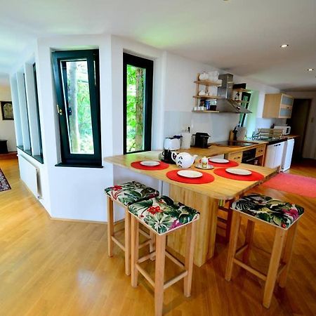 Green Haven Roofgarden Penthouse In Central Area Vídeň Exteriér fotografie